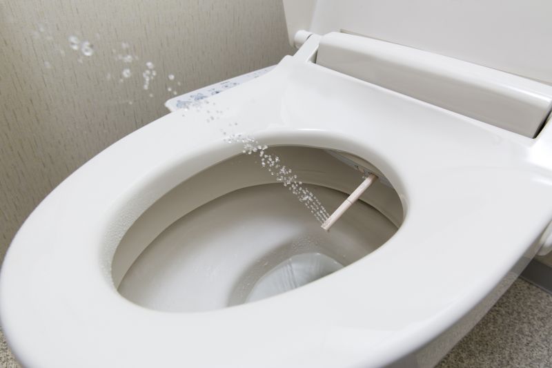 Cost of Bidet Installation — Cost of Bidet Installation